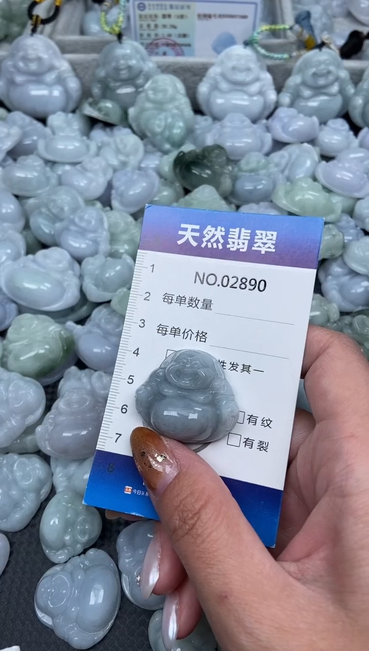 颈饰未镶嵌翡翠纯天然A货翡翠2890