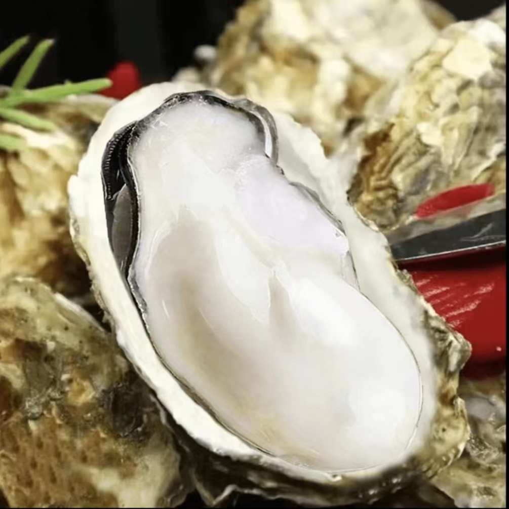 顶大个头原浆生蚝肉（每盒3-5只）新鲜饱满 每日现剥 250g/盒9盒