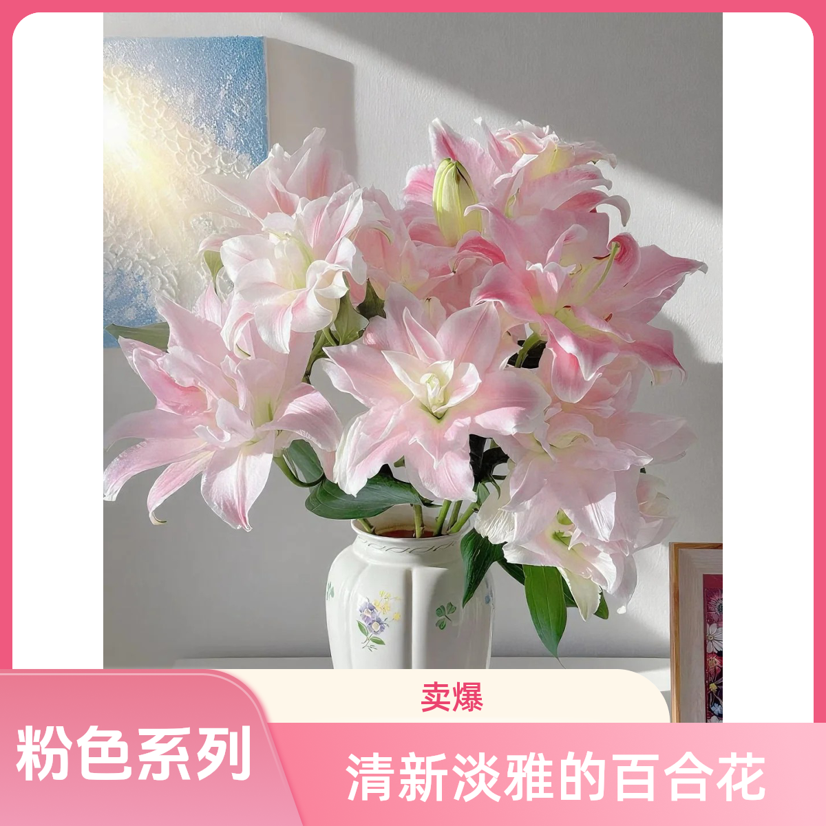 （莲花春天）多头重瓣百合粉色系有橘子柠檬清香适合阳台庭院种植