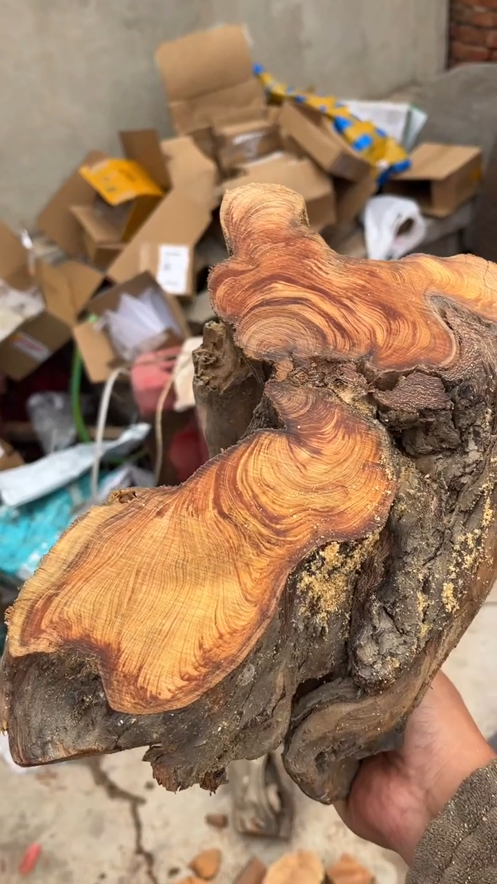 柏木（崖柏）南太行崖柏茶头