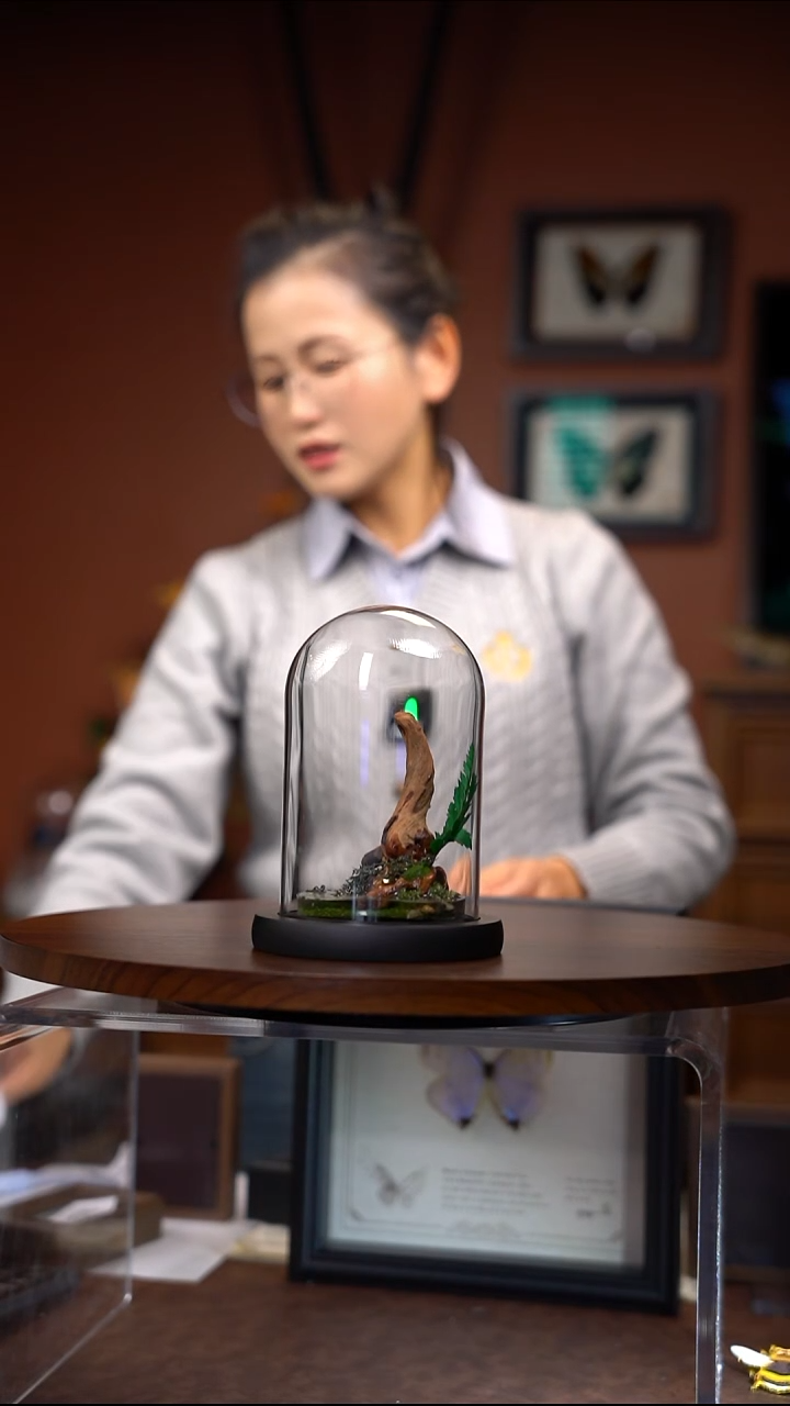 N343微景观（无虫无蝶）（一物一拍）