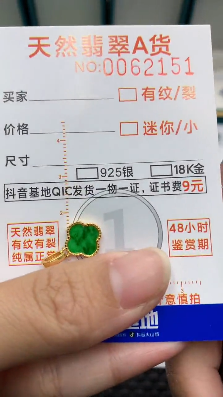 【闪购商品】翡翠颈饰银S925镶嵌            8