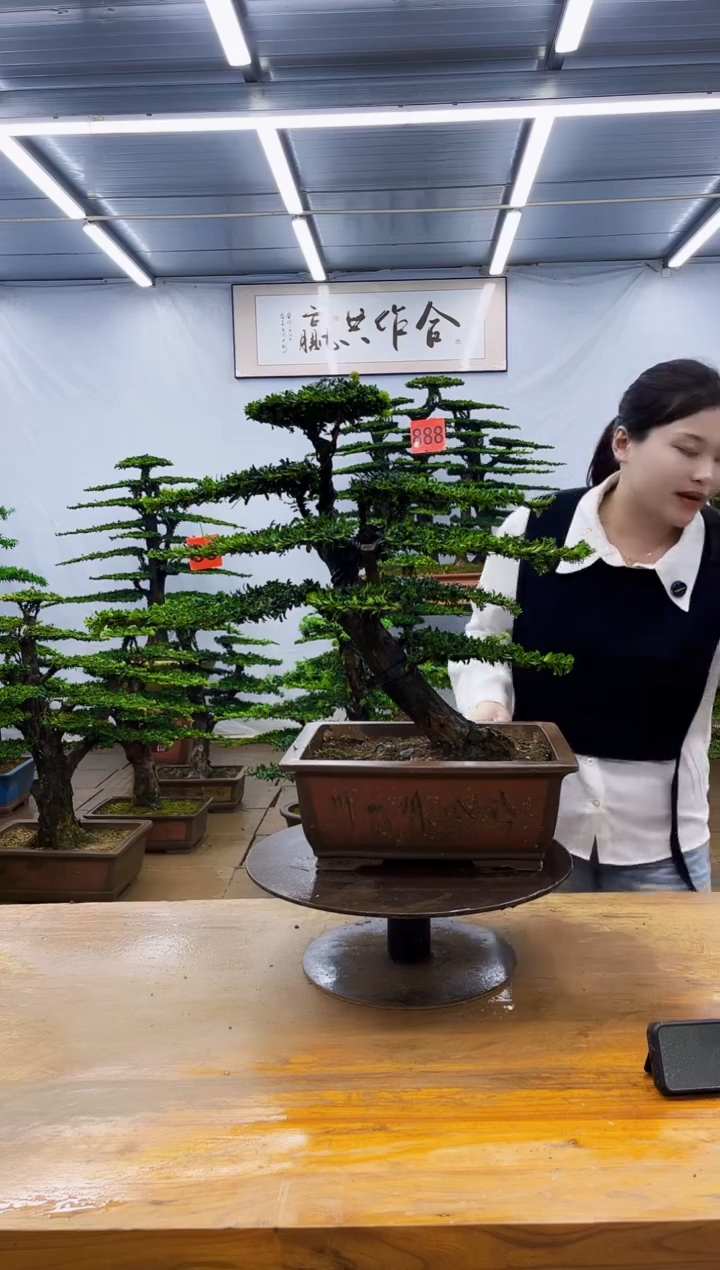 无花朵一物一拍，所见即所得