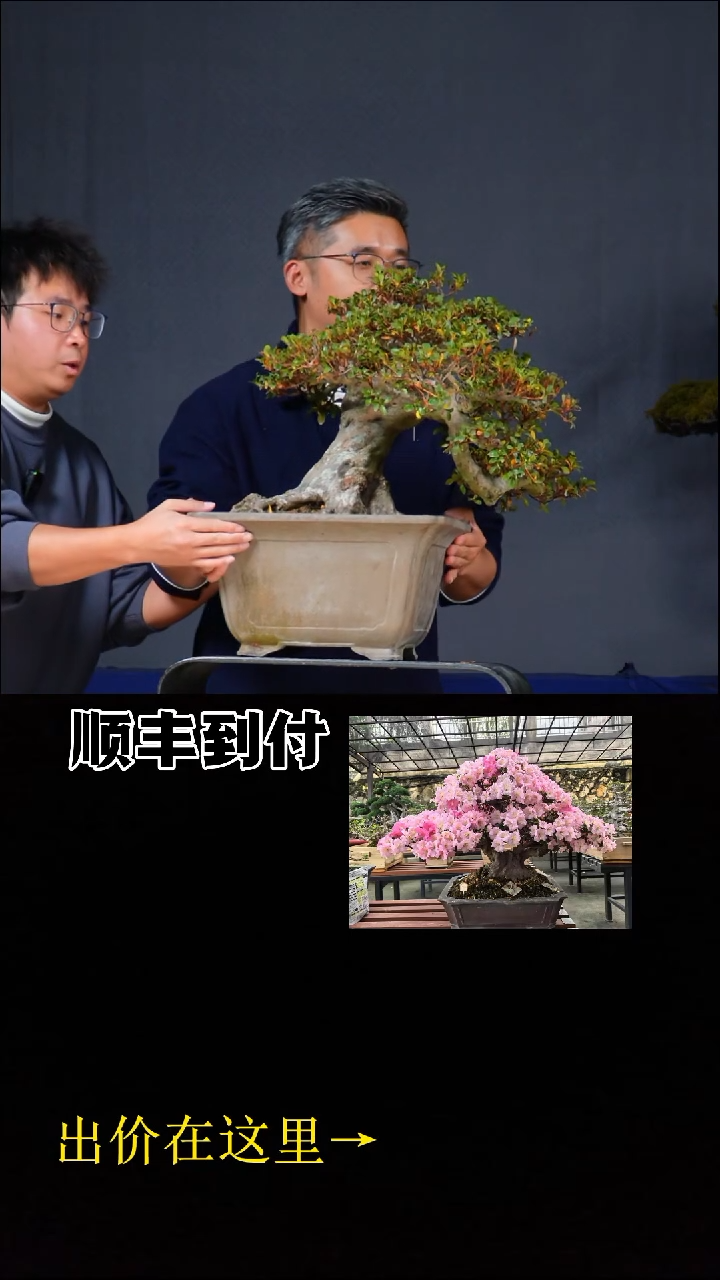 无花朵a339晓天buaboyou