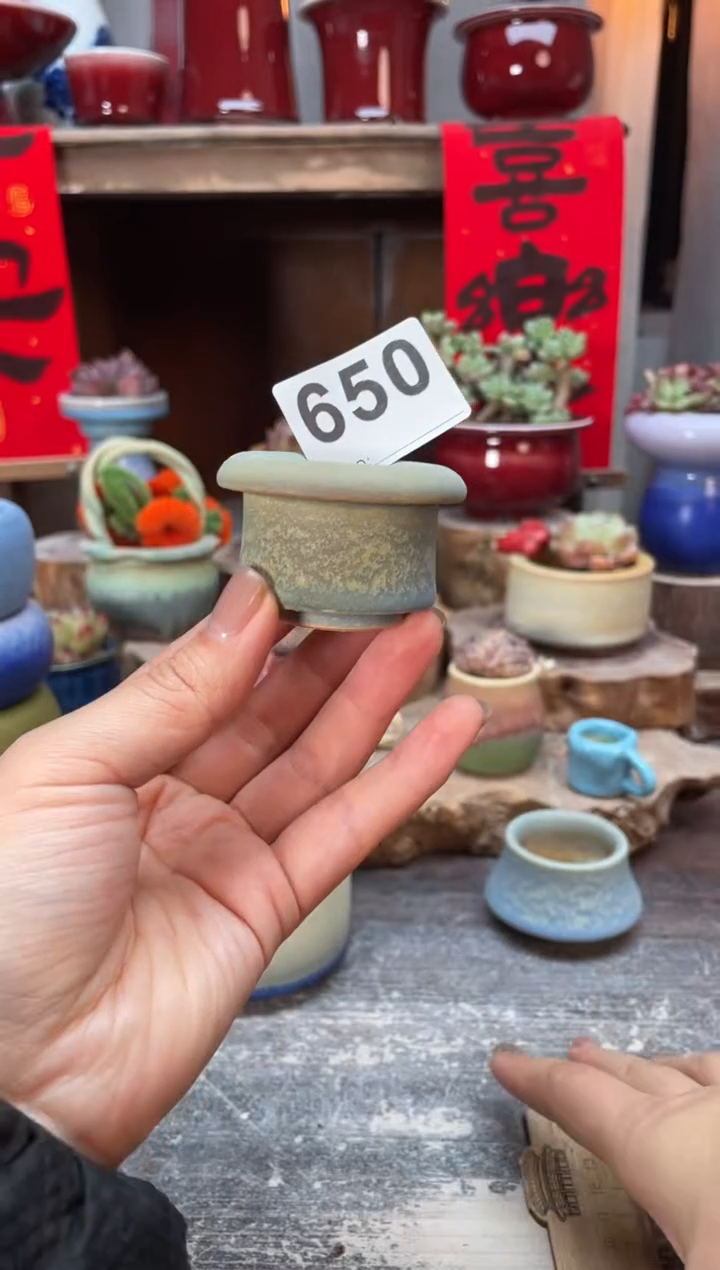 【闪购商品】摆件650知木小芳花盆