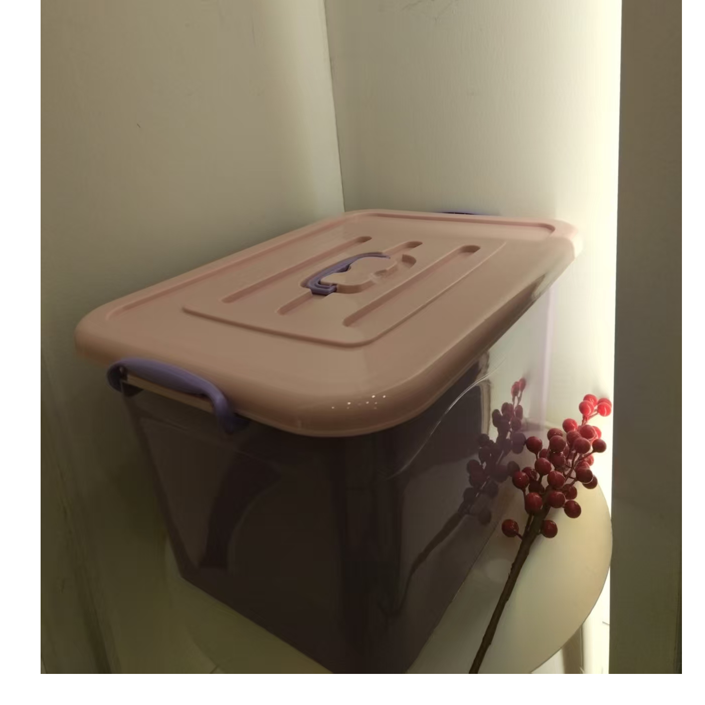 家用收纳箱 储物  随机 GC