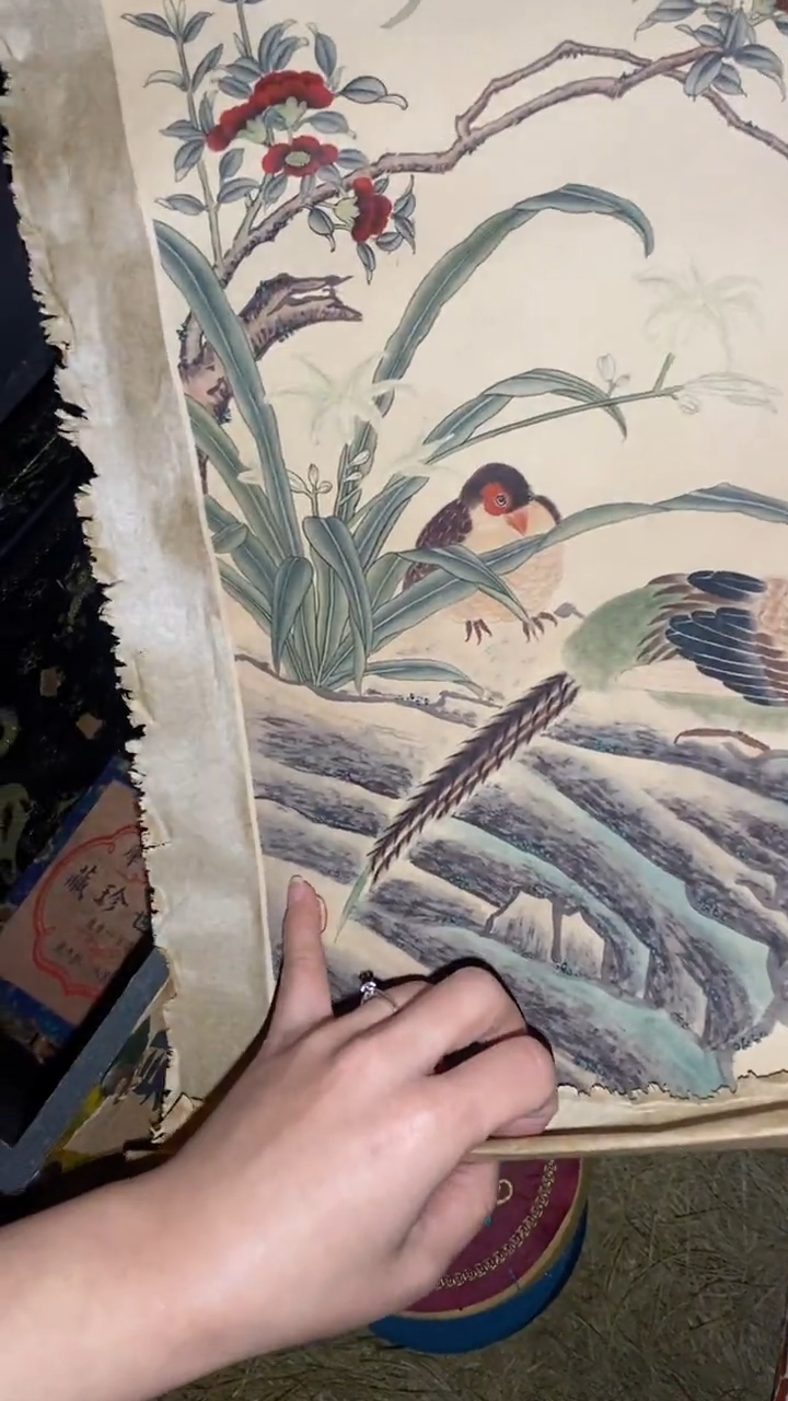 香榧木一一一一一一一一福利