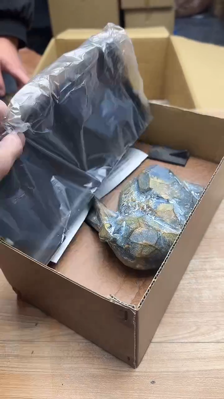 王*森1952墨樱社专属定闪链接铁