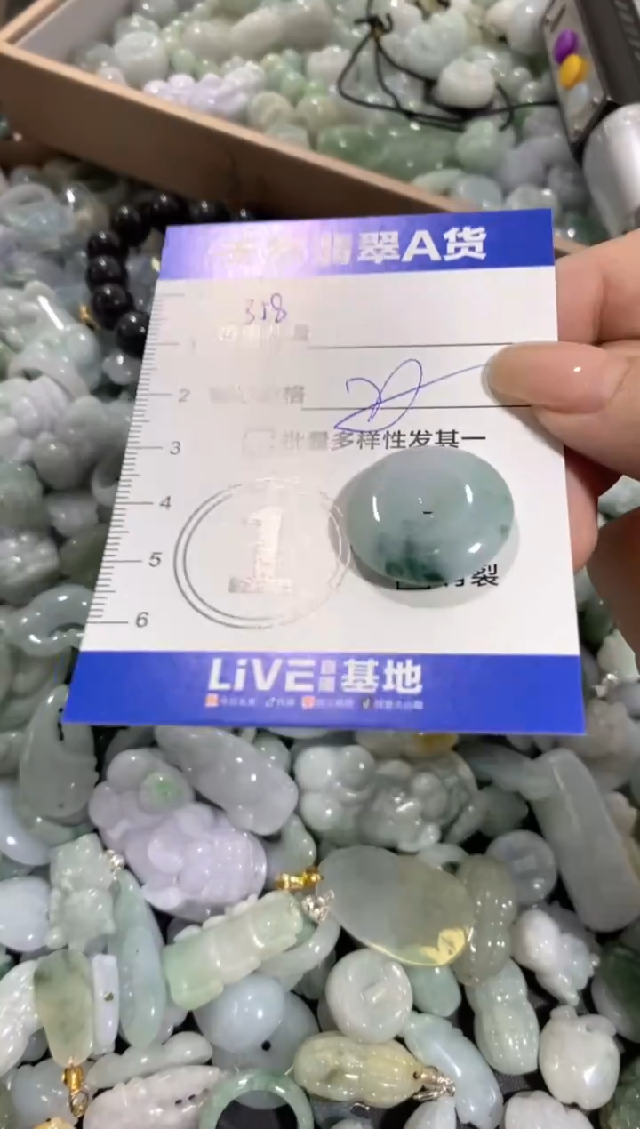 颈饰未镶嵌翡翠天然翡翠A货批量多样性发一件