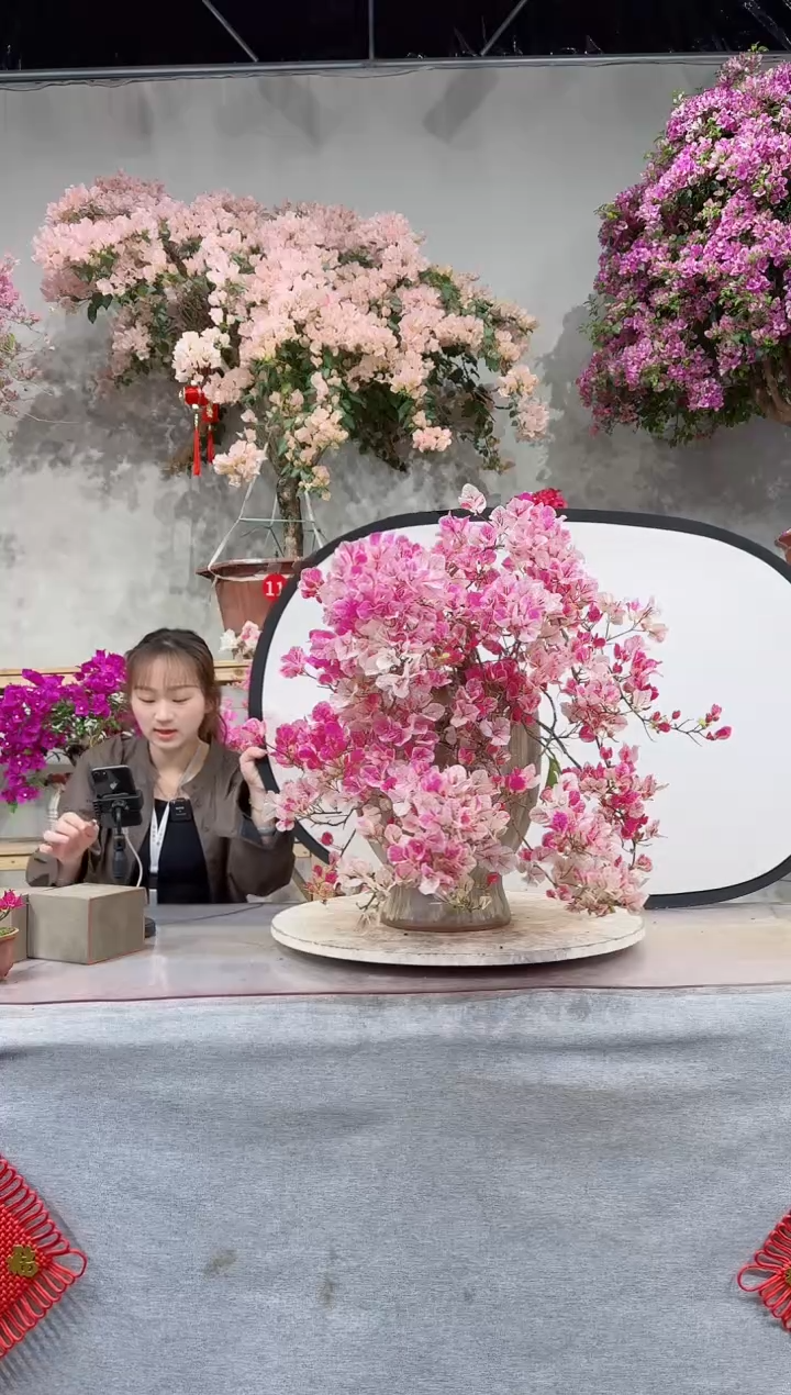 【闪购商品】盆景漳红缨