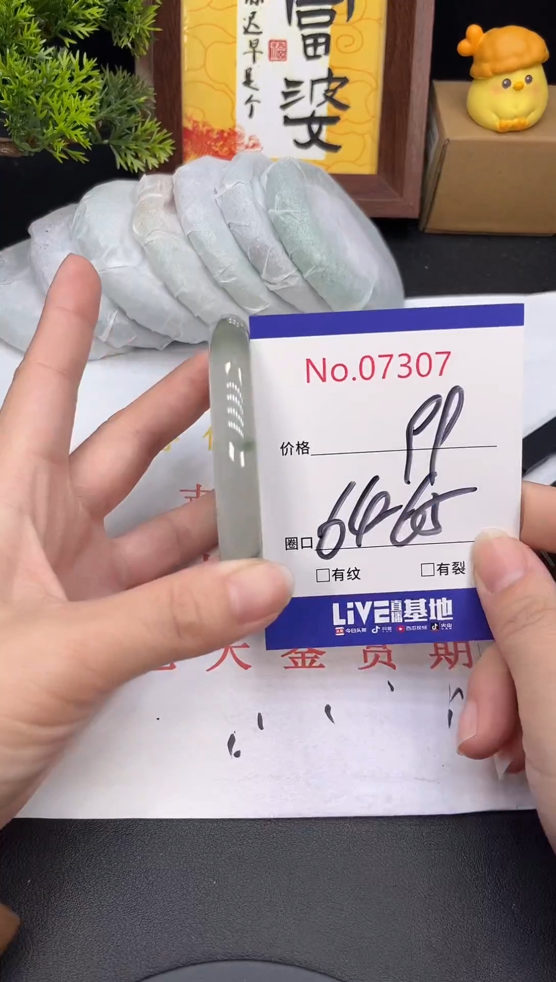 未镶嵌手镯翡翠7307