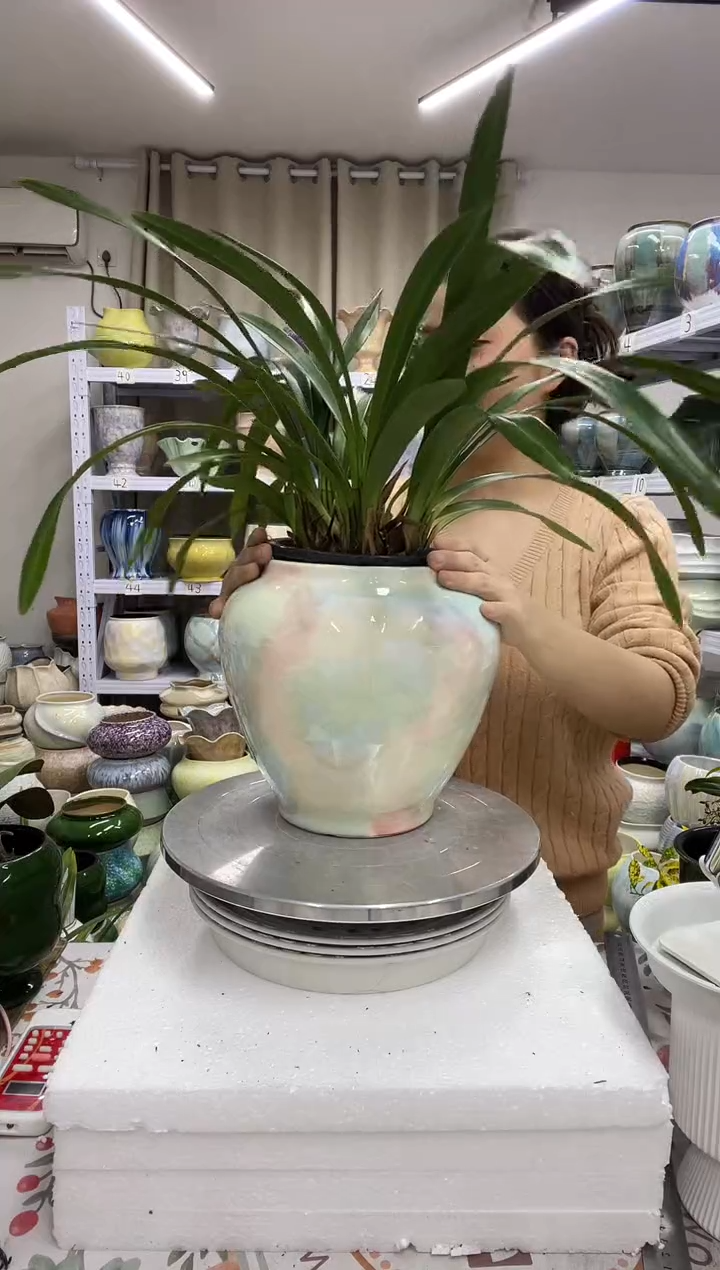 12.30陶瓷花盆直播链接高.   20   口14