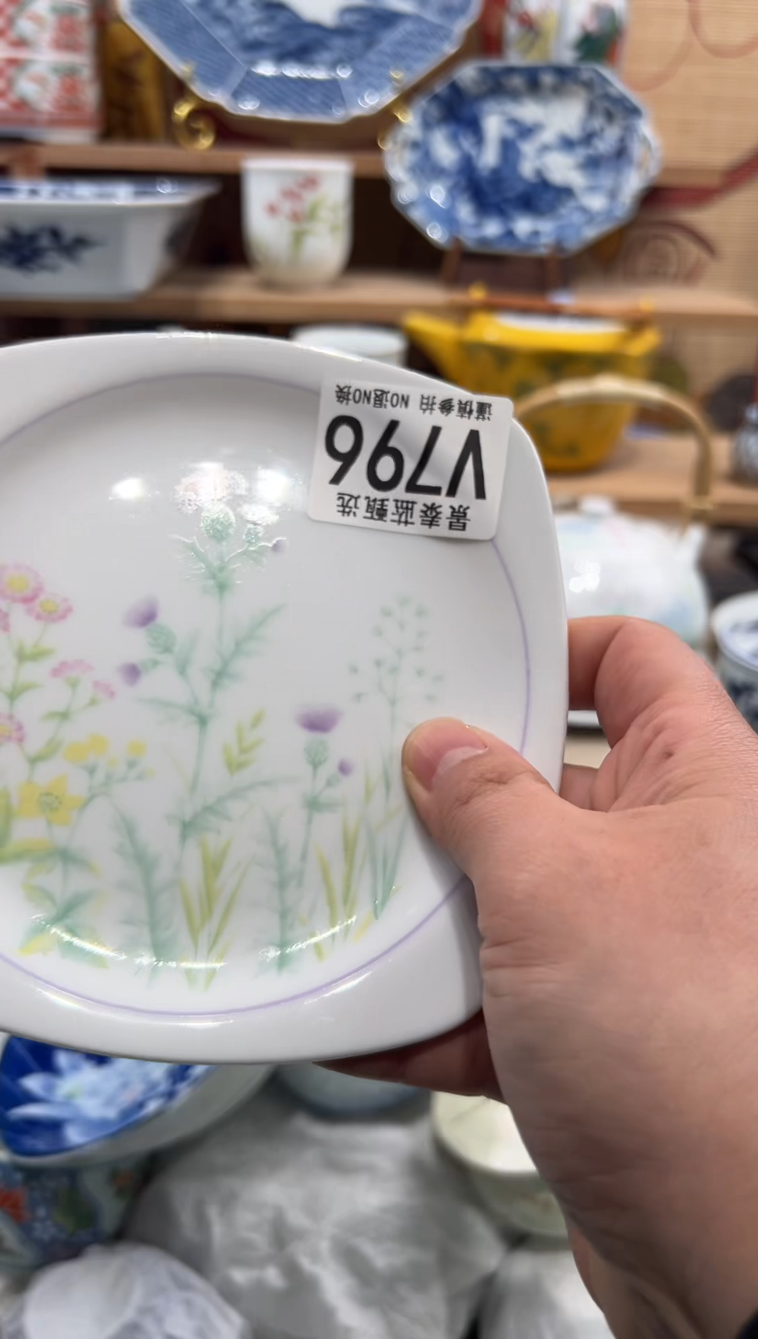 瓷片与****愁瓷片-------V796