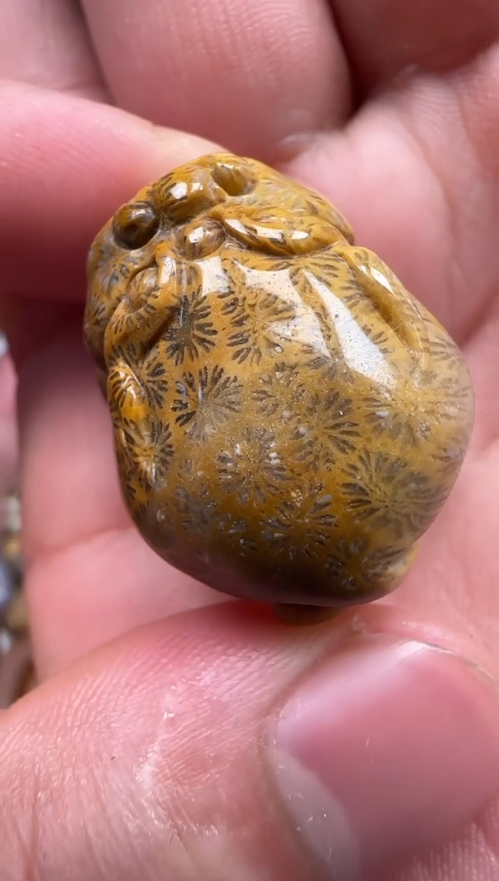 【闪购商品】硅化珊瑚（珊瑚玉）颈饰未镶嵌316