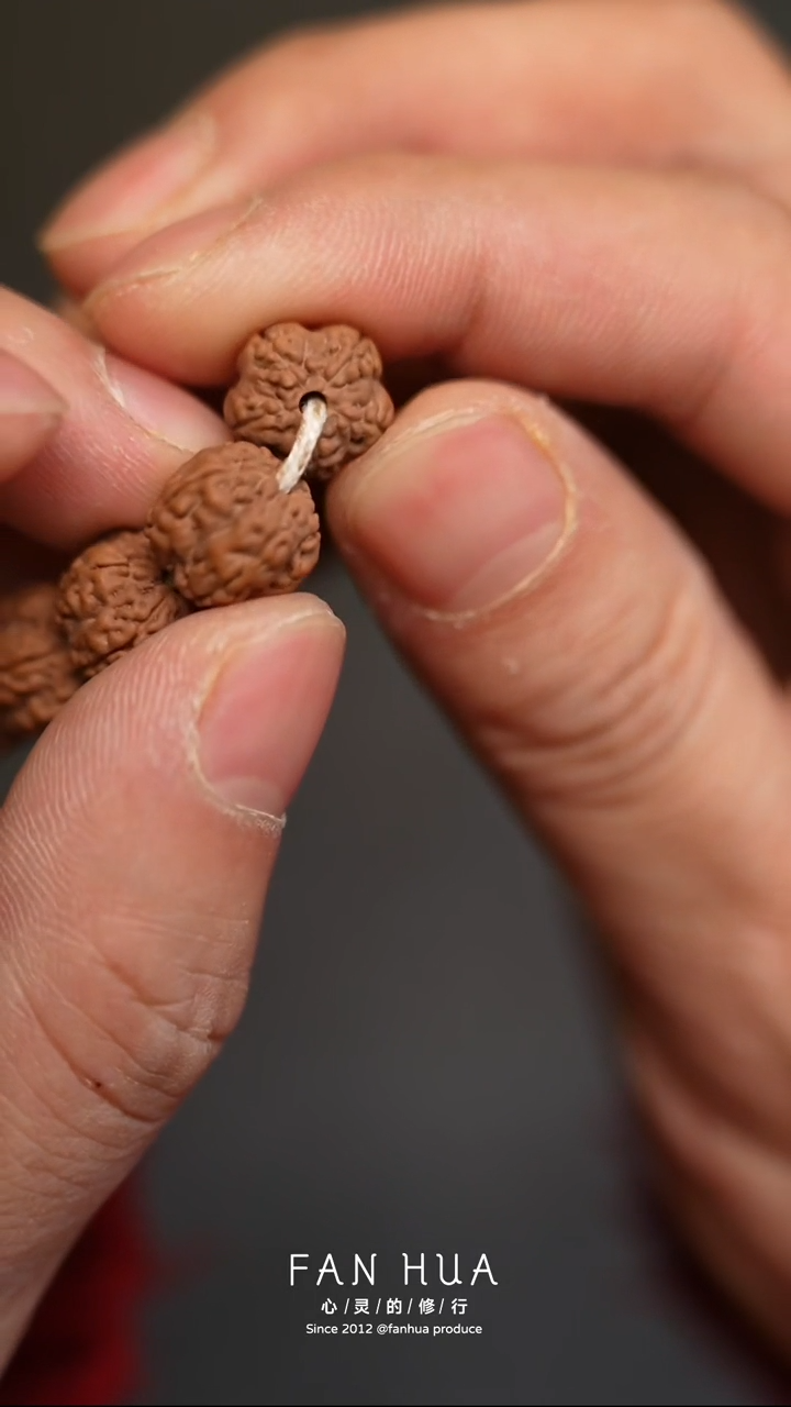 手串金刚菩提梅花单圈