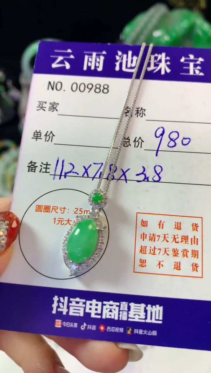 翡翠银S925镶嵌颈饰翡翠