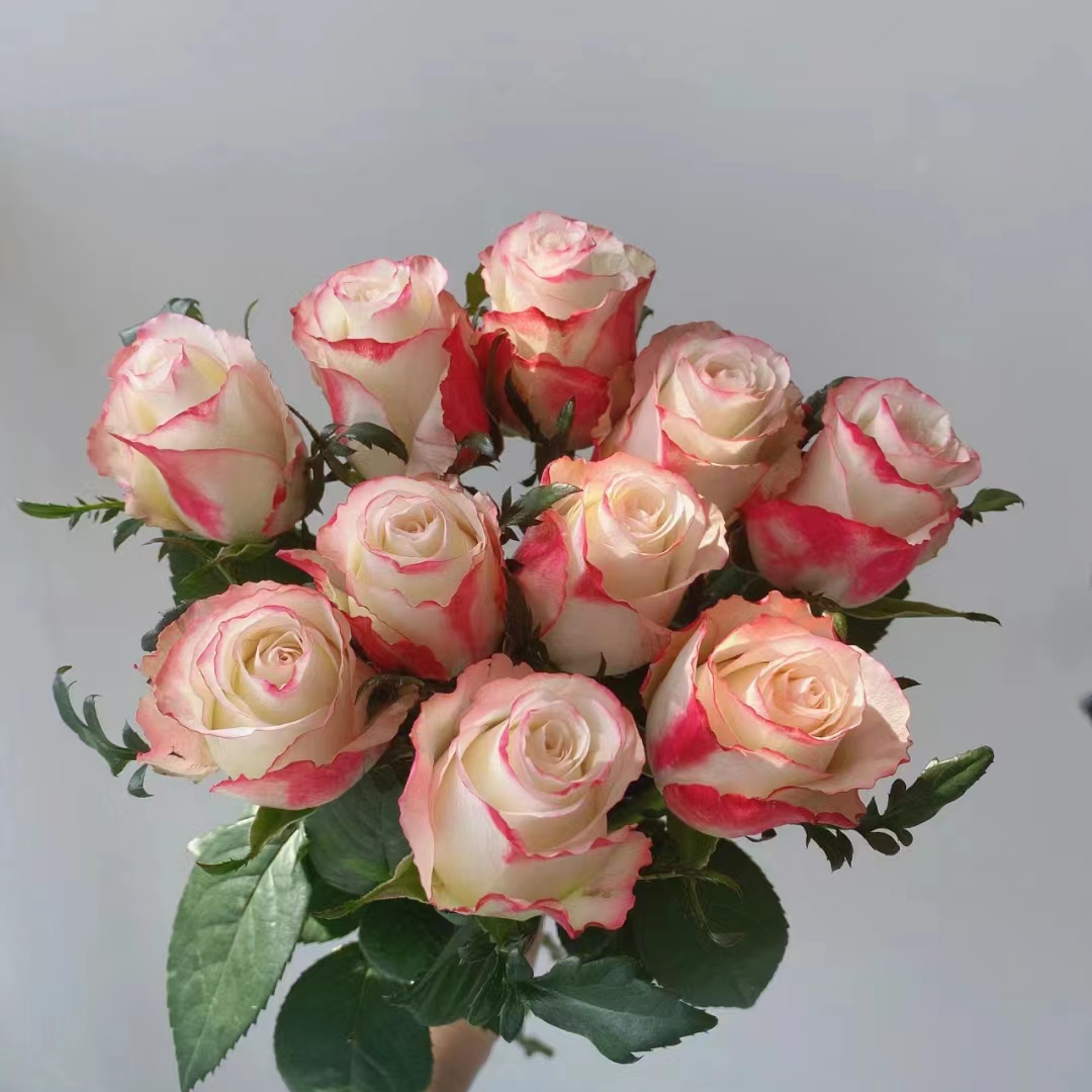 63红唇10支+红色康乃馨10支+红色腊梅一小把+吸色红色紫罗兰一把