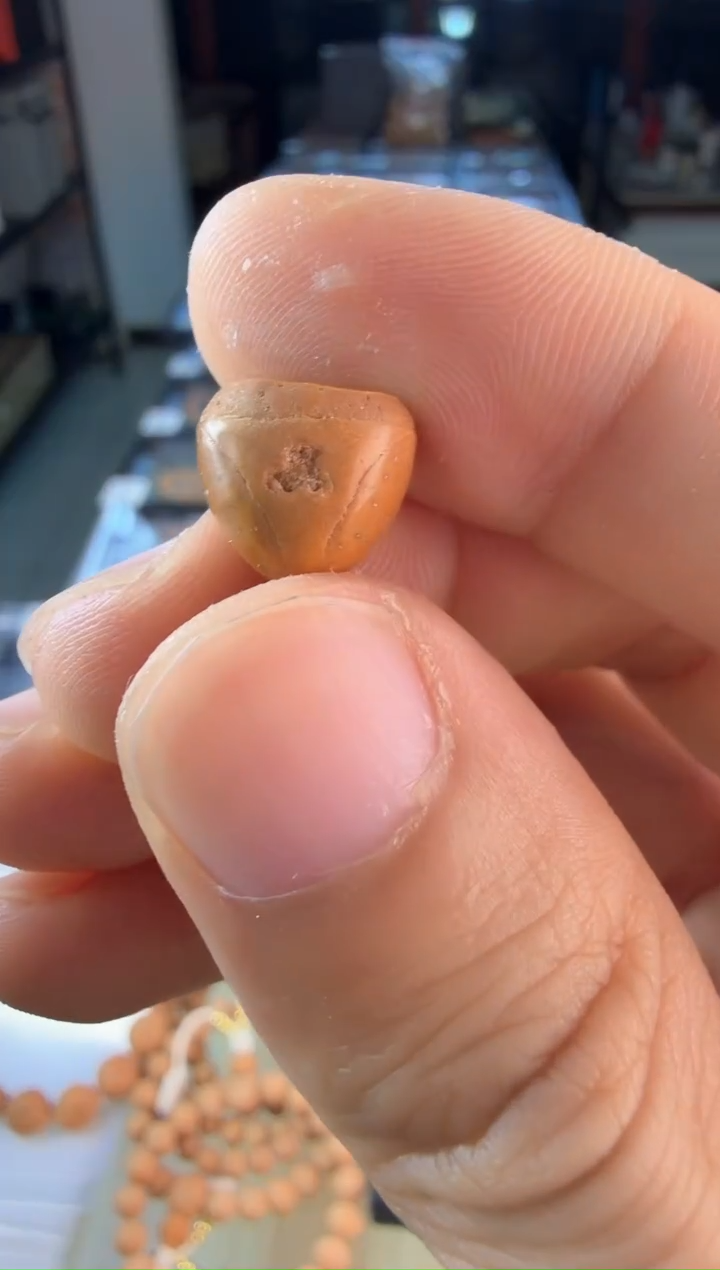 手串凤眼菩提编号4663一物一图 不好意思 1块佛塔 龙塔