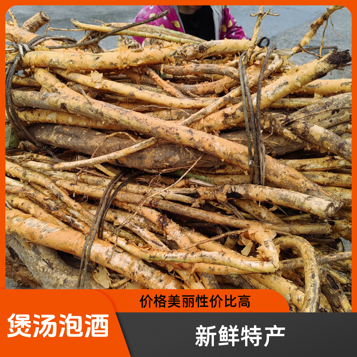 广西小叶黄龙皮壳又名穿破石根鲜货片段500克起包邮特产新开