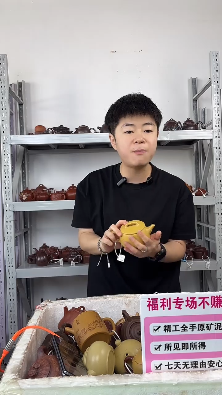 茶壶紫砂紫朱泥光素西施紫砂壶（2）