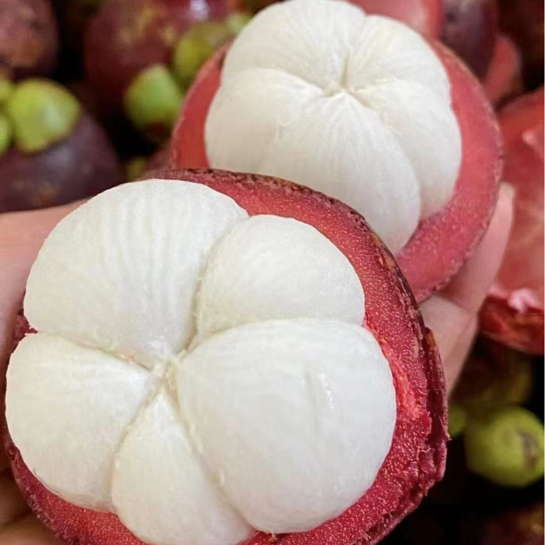 【鲜果 现发】FQ泰国J进口 老树山竹 麻竹3-5斤装3A-6A 次日达（顺丰包邮 坏果包赔）新鲜