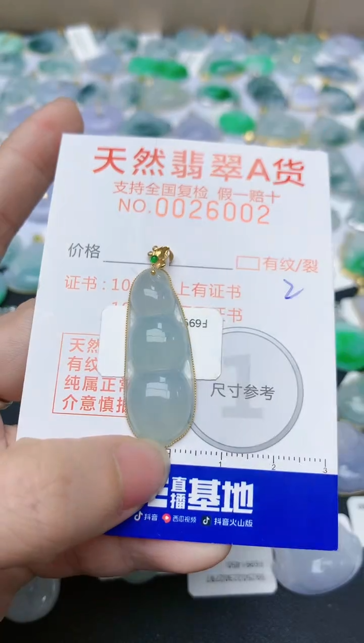 【闪购商品】翡翠颈饰18K金镶嵌天然翡翠A货    