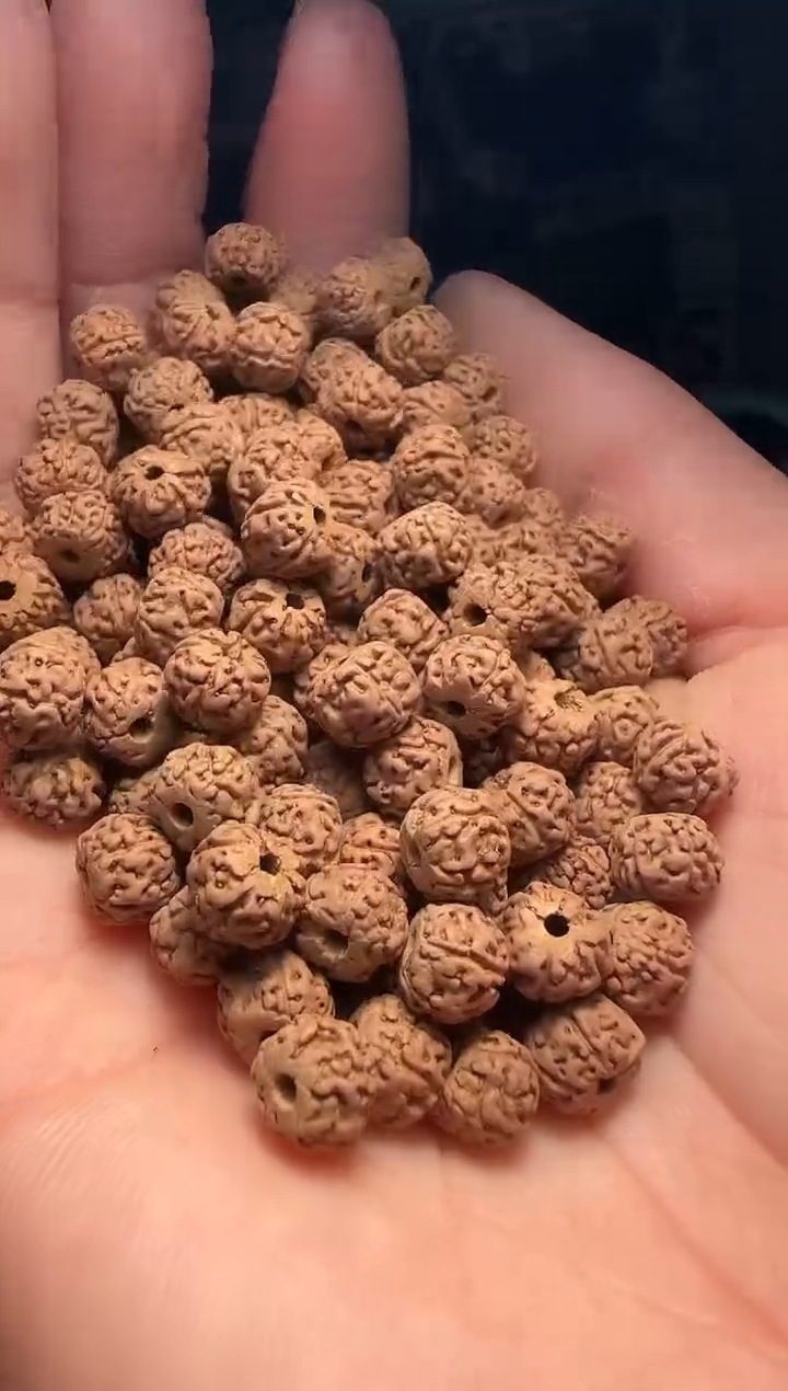 手串金刚菩提非全品龙切一代龙散籽7-8mm一份一百颗