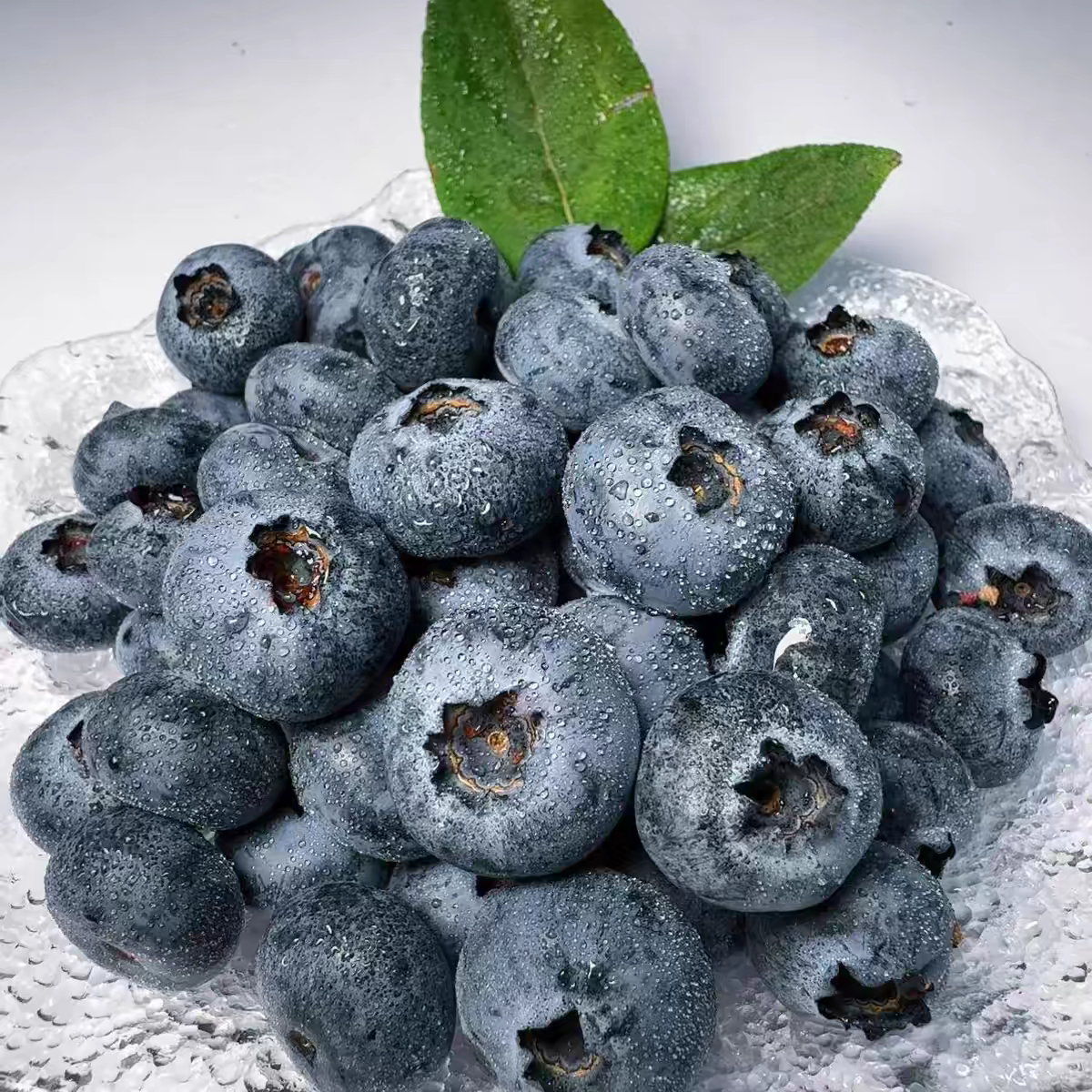 云南花香蓝莓G15mm云南省