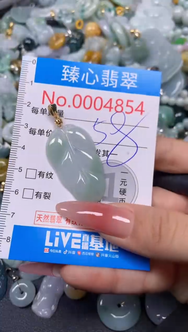 【闪购商品】翡翠颈饰未镶嵌含绳0004854