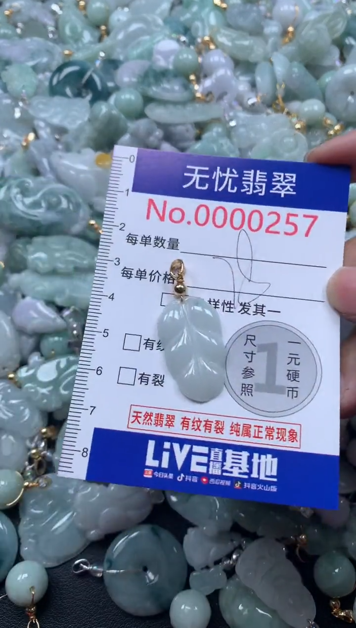 颈饰未镶嵌翡翠257