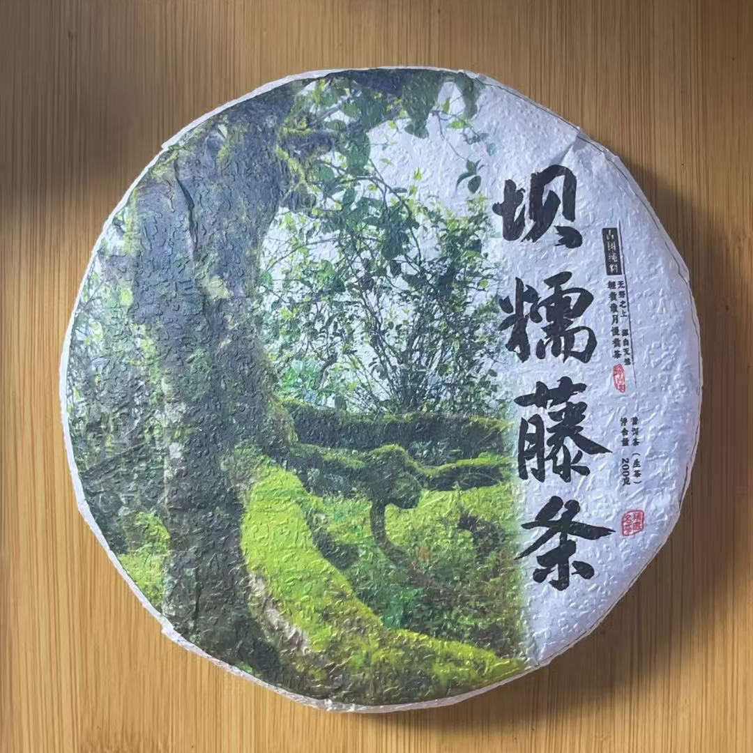 【JX--172号】2024年  坝糯藤条  古树生茶【200克饼】