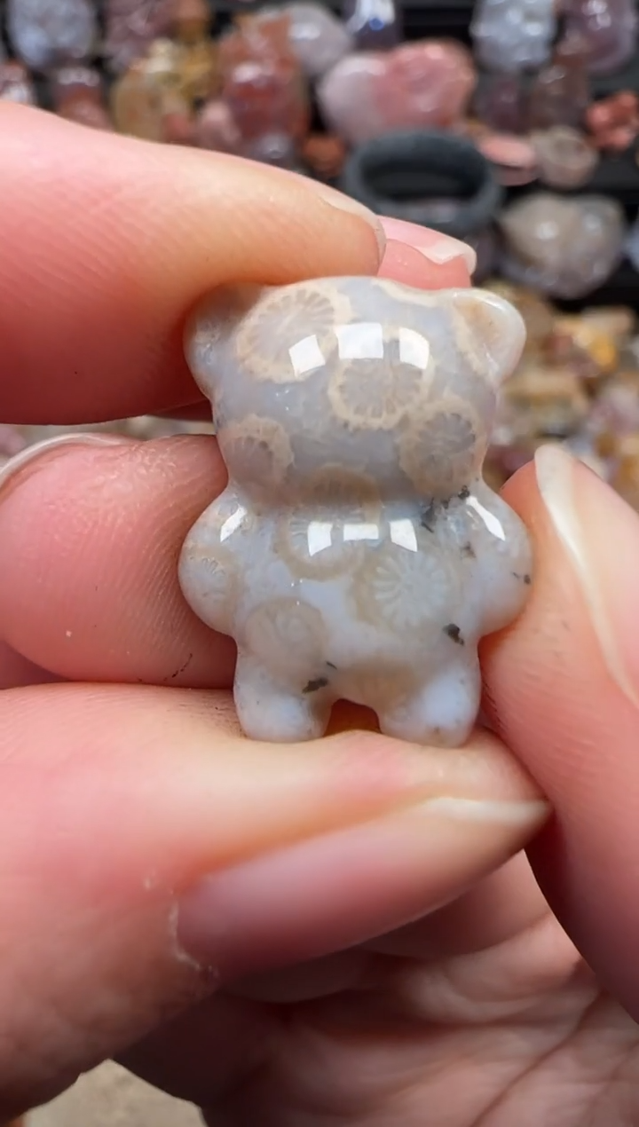 颈饰未镶嵌硅化珊瑚（珊瑚玉）318