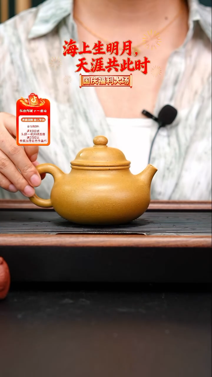 茶壶紫砂金黄段容天300朱启华