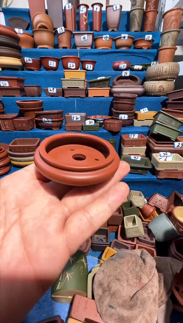 【闪购商品】紫砂紫砂花盆5.5*1.5