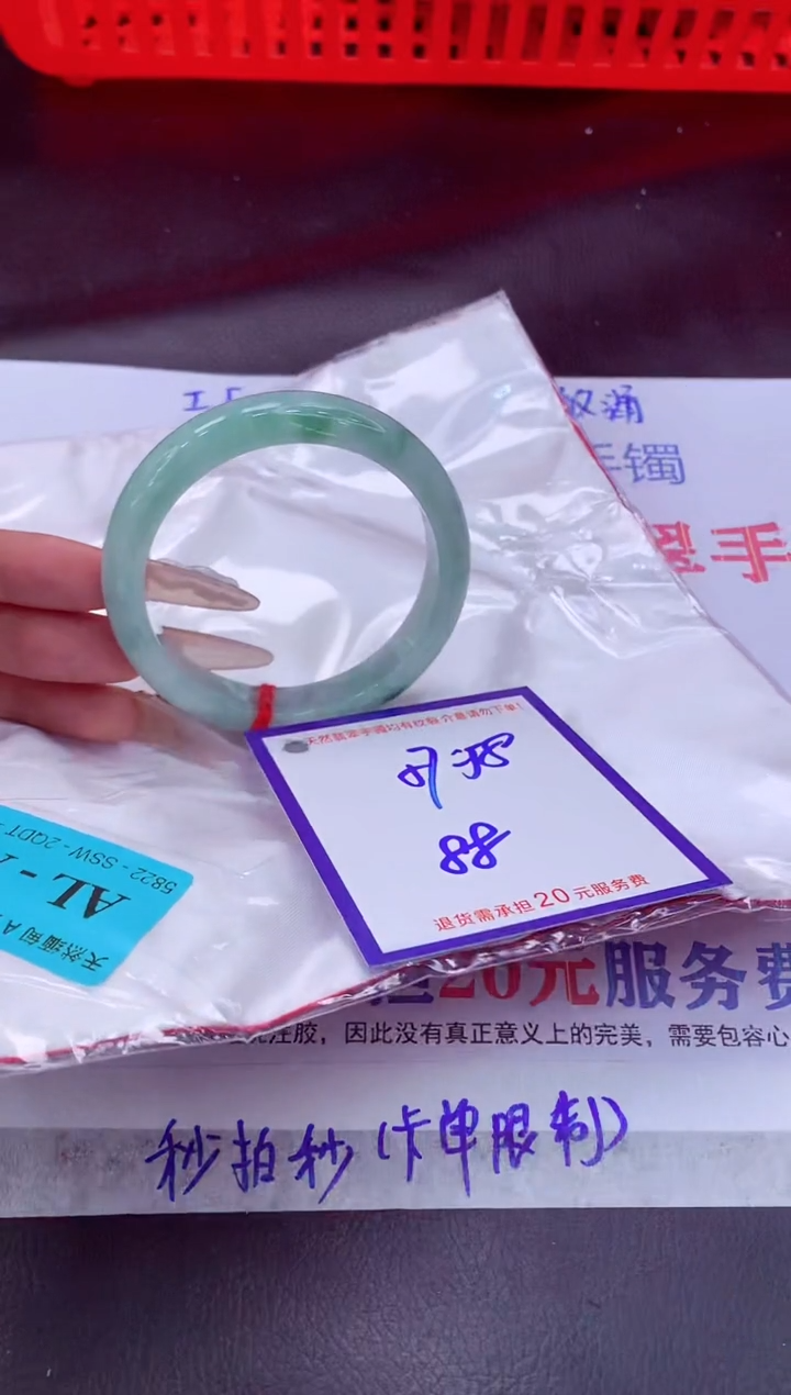 未镶嵌手镯翡翠11111111