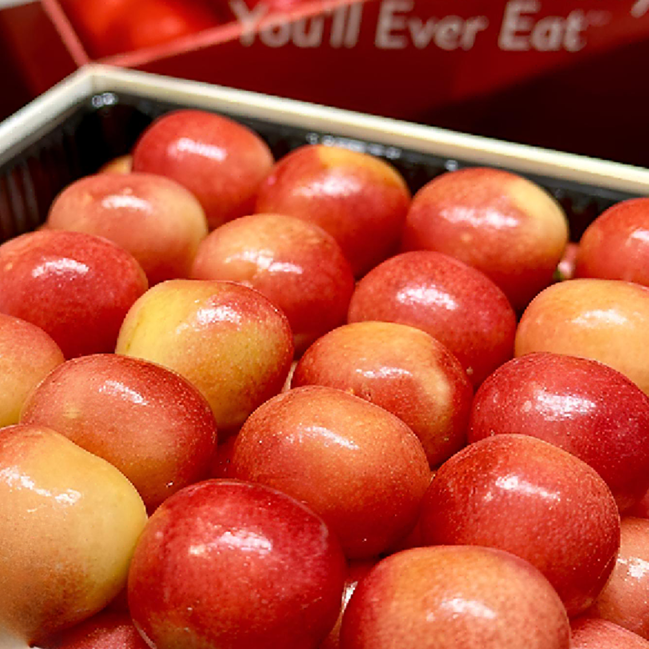 【顺丰包邮】智利空运 限定斯凯拉雷车厘子2-4J 1斤/4斤 内附果径卡