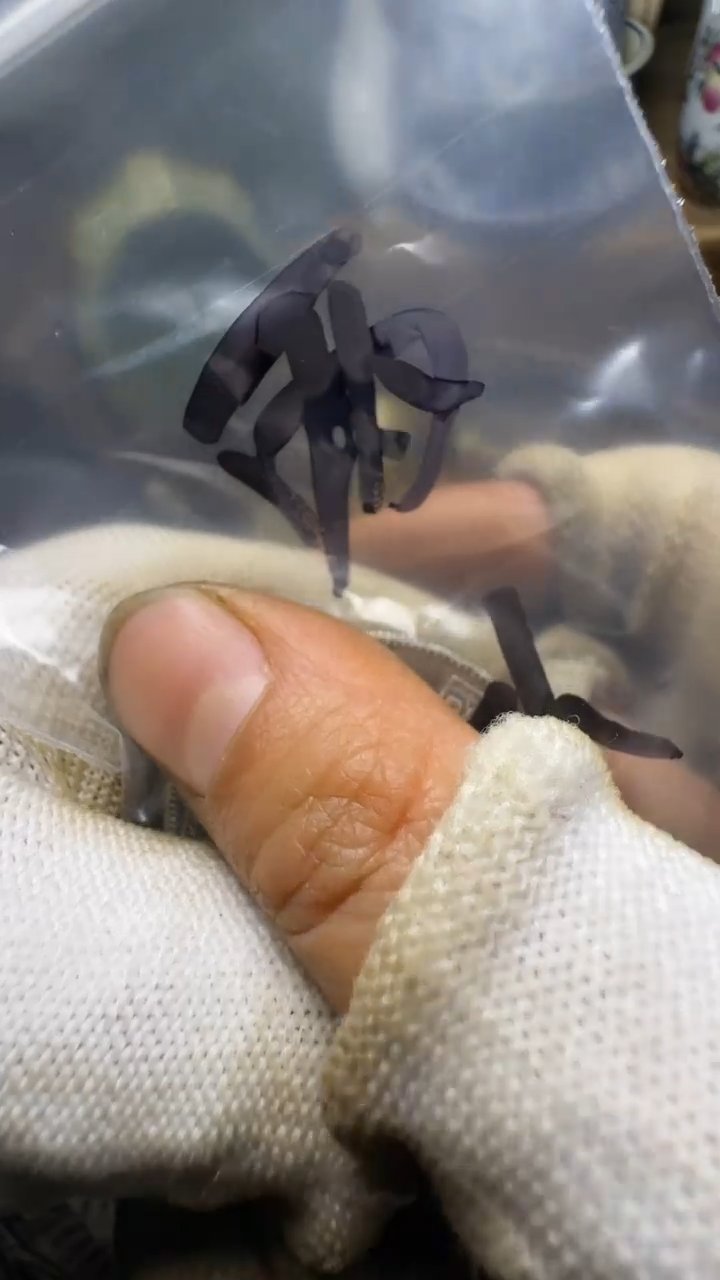 佳合创意屋专属链接