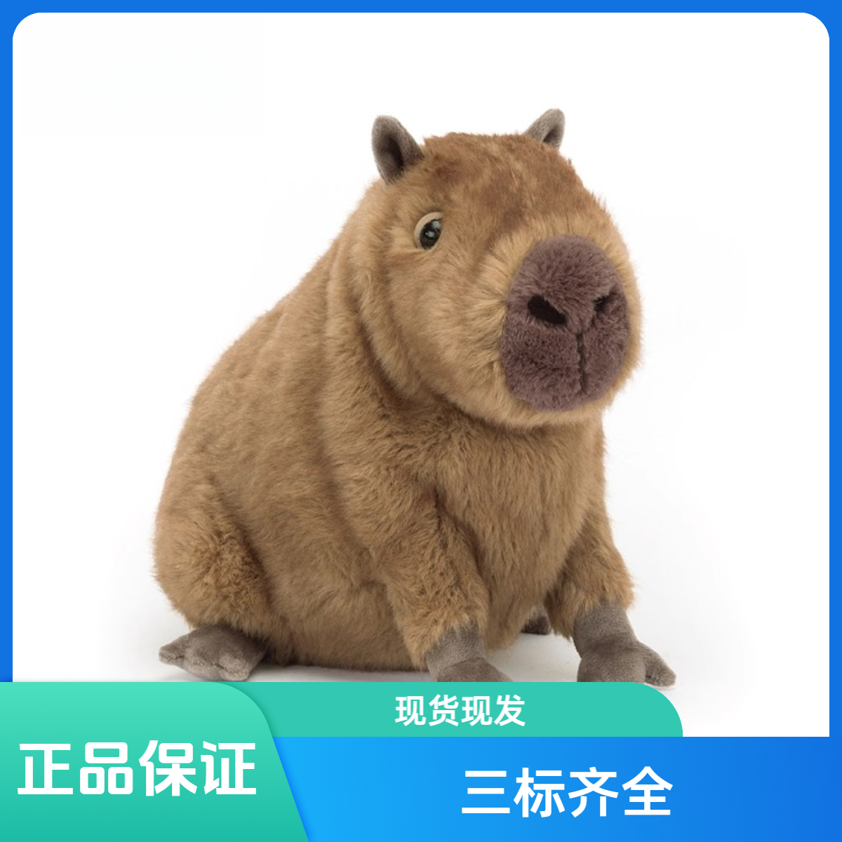 英国克莱德水豚卡皮巴拉儿童玩偶毛绒玩具送礼娃娃公仔