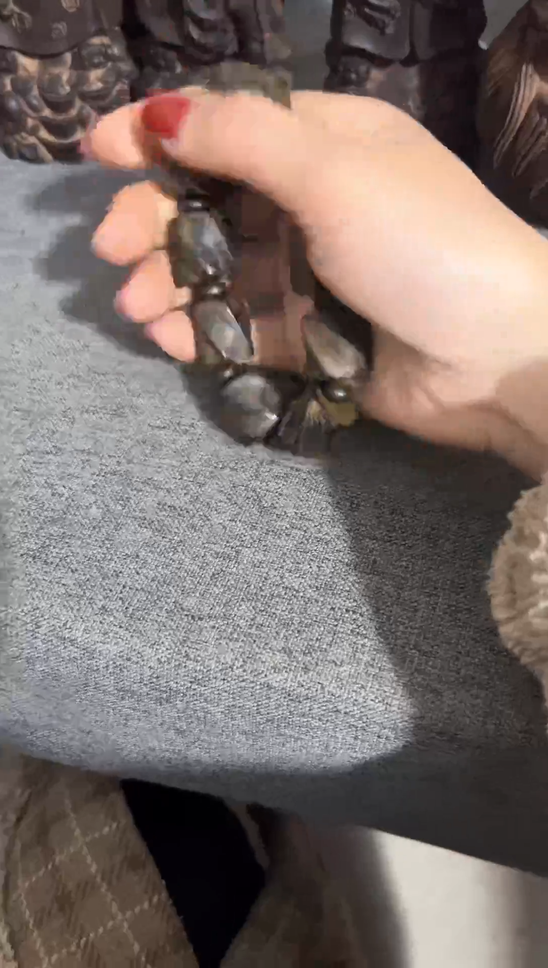 【闪购商品】香榧木木雕欢迎老铁来到直播间。。。。。
