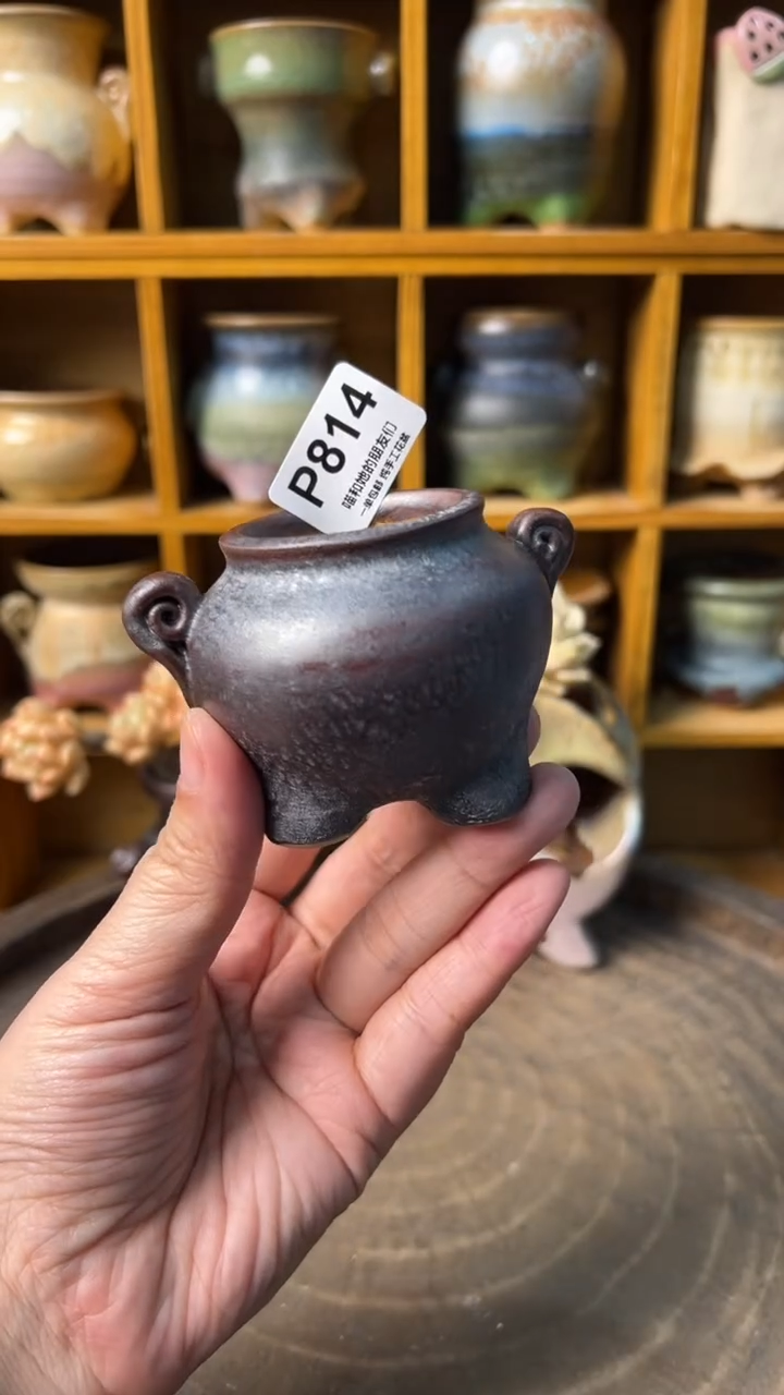 814 内口4.5【多肉花盆多肉盆】