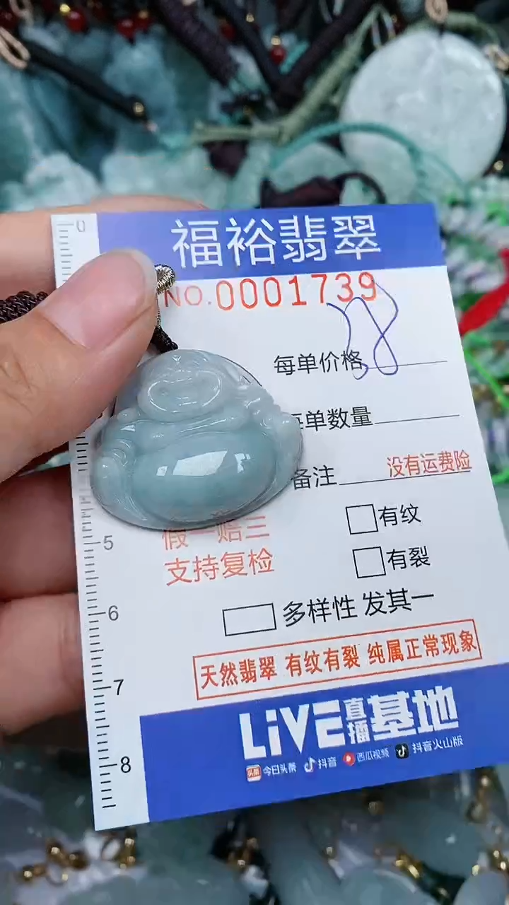 翡翠未镶嵌颈饰...0001739