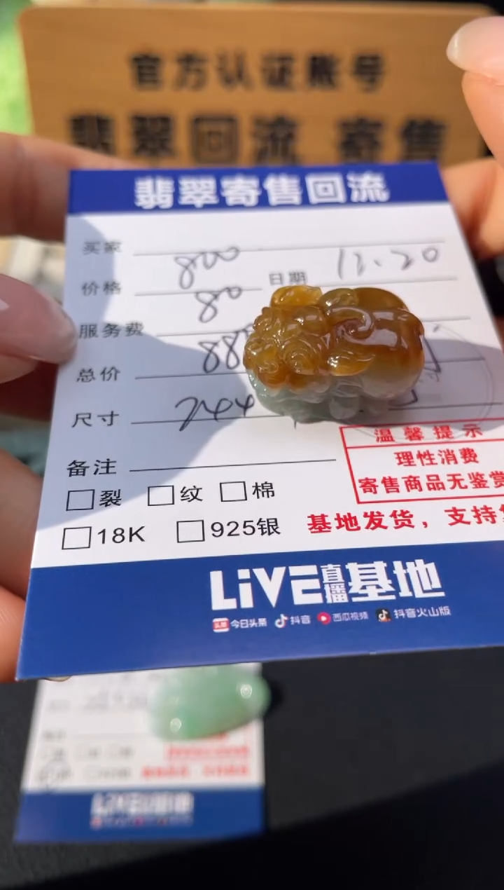 颈饰未镶嵌翡翠10152172