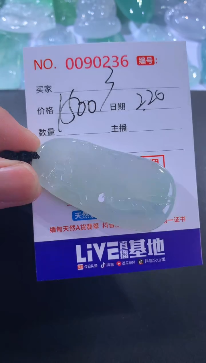 【闪购商品】翡翠颈饰未镶嵌定向 3