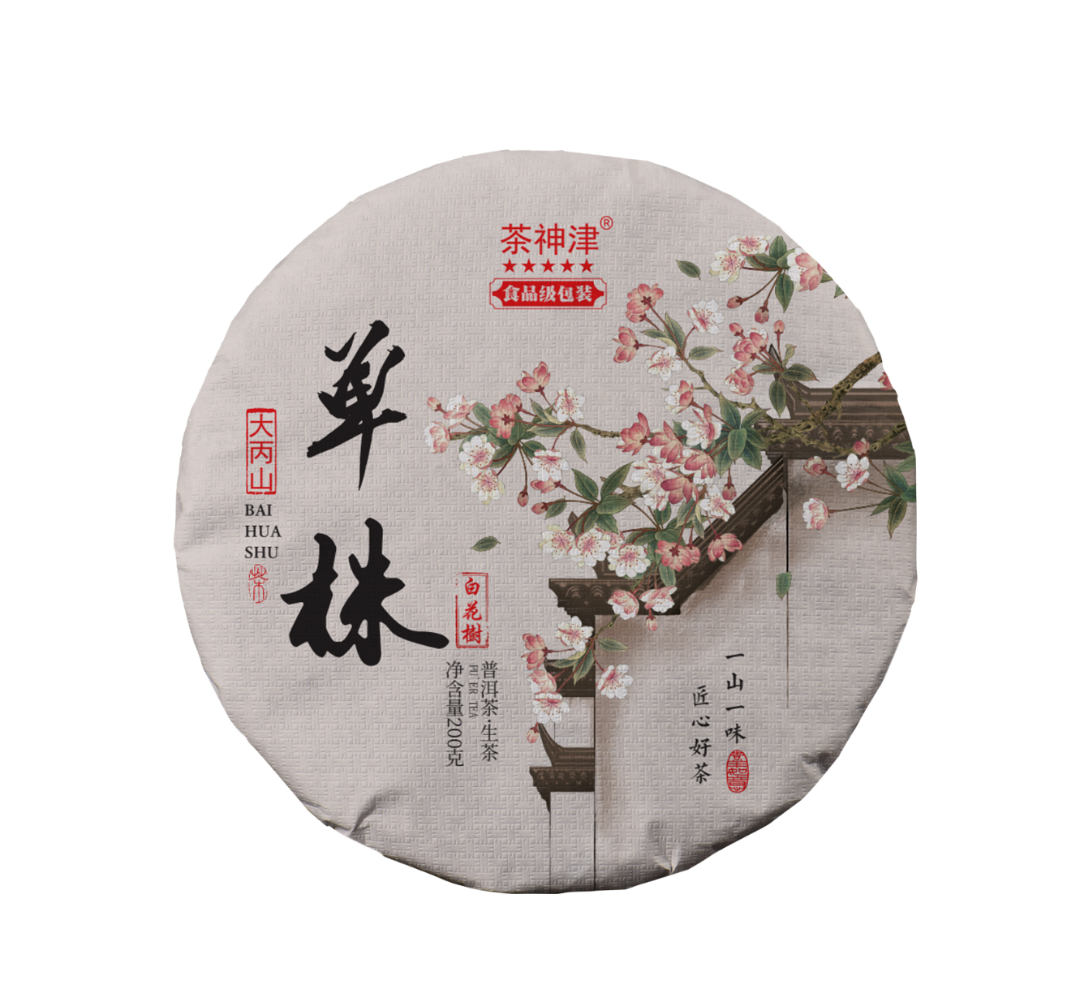 【村长严选2】2025白花树单株云南普洱茶 饼茶