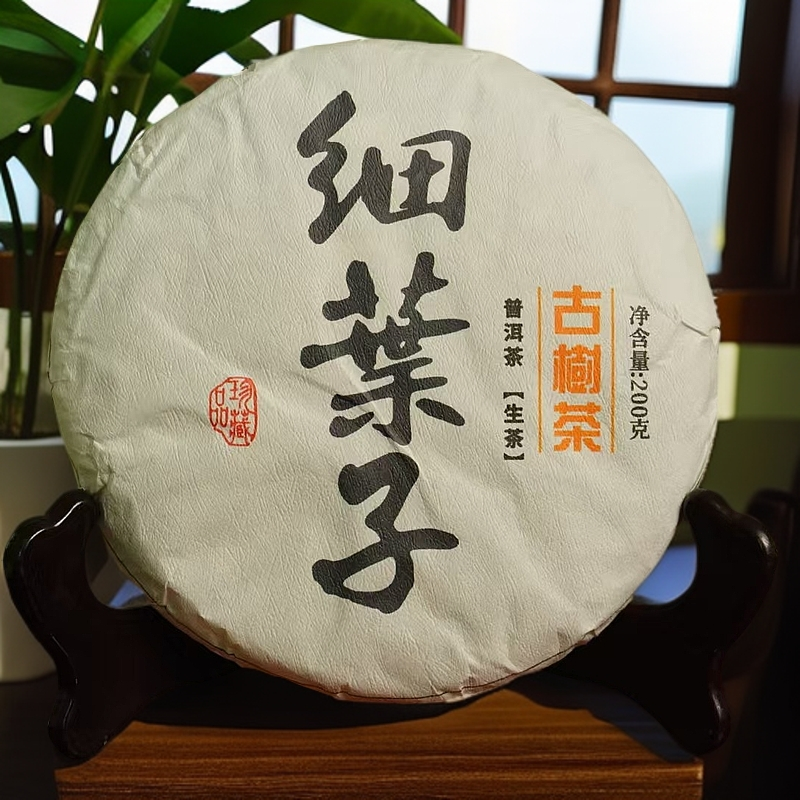 2024年头春 细叶子