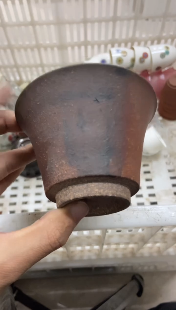 杯子瓷无运费险有瑕疵的摄影的产品有使用过的痕迹有点脏介意勿拍