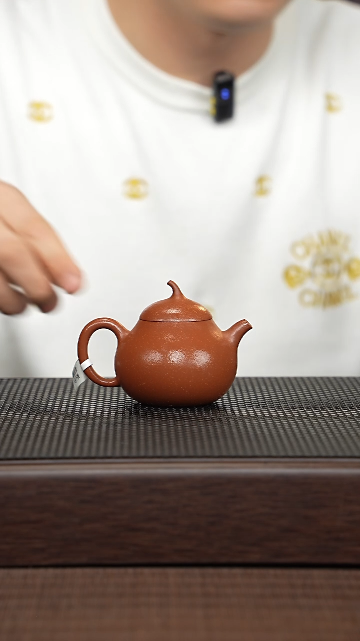 【闪购商品】紫砂茶壶源头精品手工作品30217