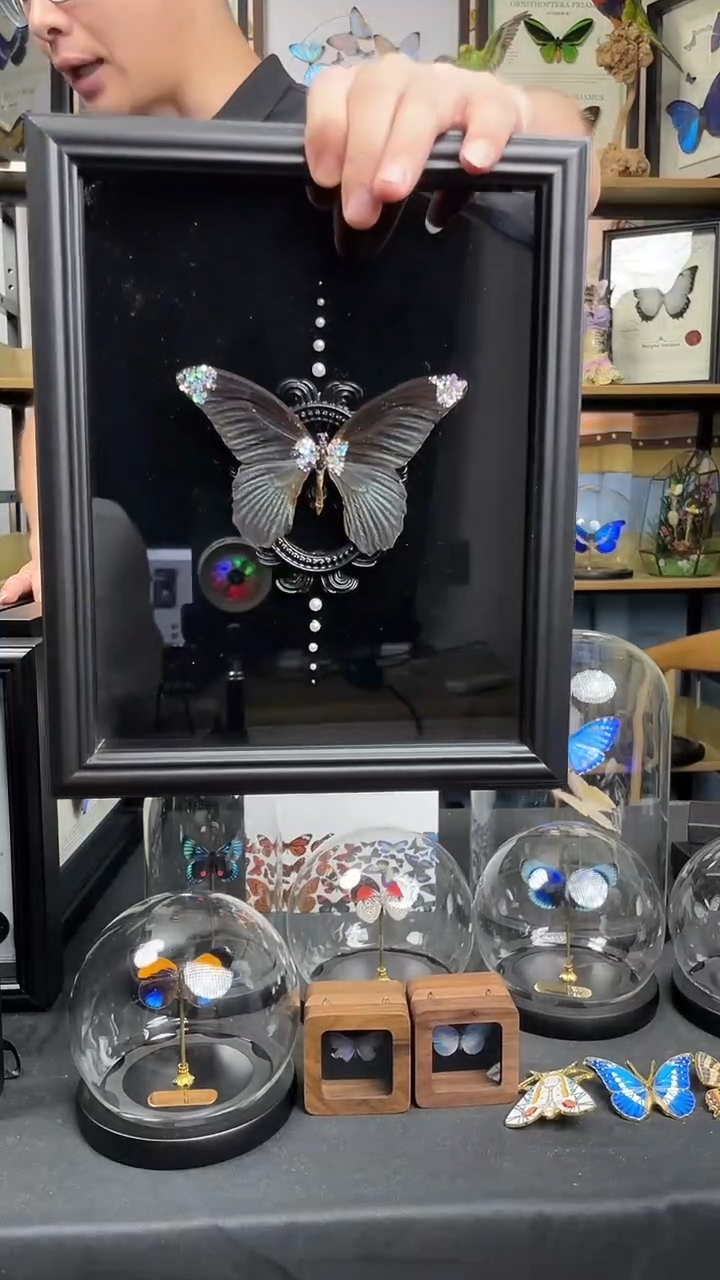 美凤蝶-珍珠亮片款【10寸欧式框】