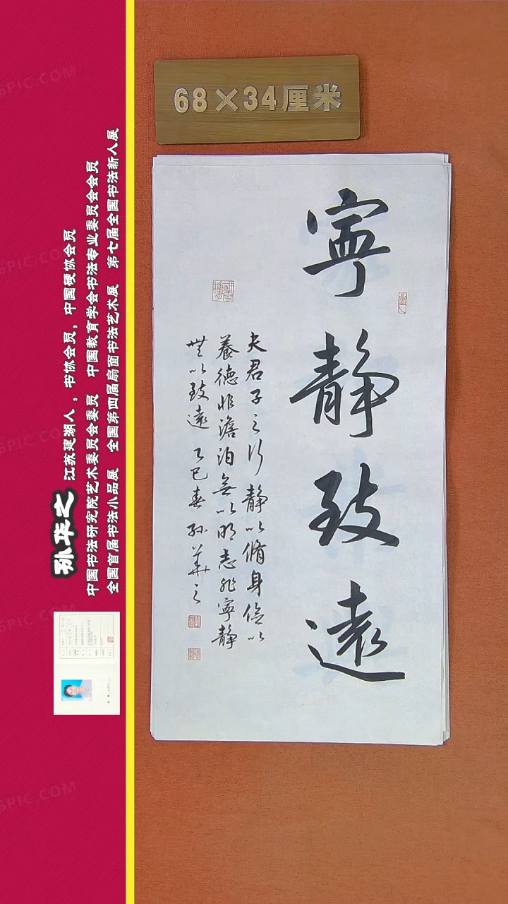 【闪购商品】书法174a孙华之书法作品