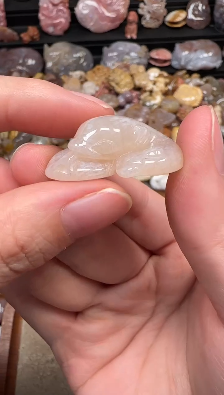 颈饰未镶嵌硅化珊瑚（珊瑚玉）667